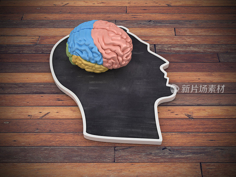 人类头部形状与人脑在木地板- 3D渲染